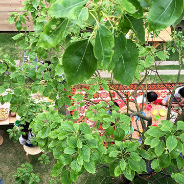 わたしのwakuwaku研究所