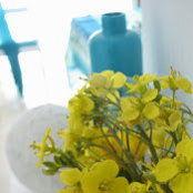 Soledad Collazoさんの写真