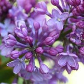 JoEllen Kumpula's photo