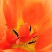 Eileen Macholl's photo