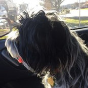 JoAnn West's photo