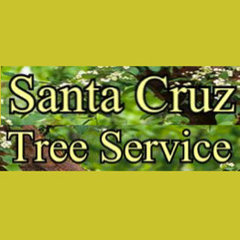 Santa Cruz Tree Service