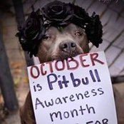 Hannah Mickler's photo