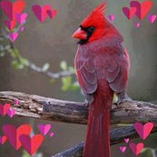 Karen Farrell's photo
