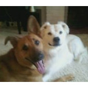Jane Powell's photo