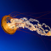 Brennen Bishop's photo