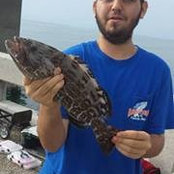 David Batista's photo