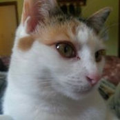 Jennifer Sarnowski's photo