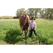 Karla Stroh-Mattson's photo