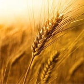 Nasser Albaradan's photo