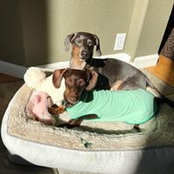 JackandCassandra Bierce's photo