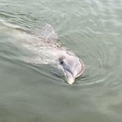 Lynn Pistorio's photo