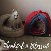 Angela Schwarz's photo