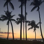Dawn Mueller's photo