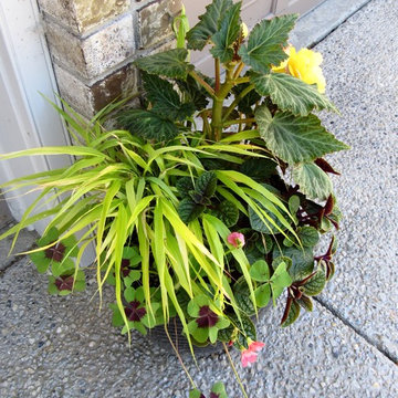 Summer planters