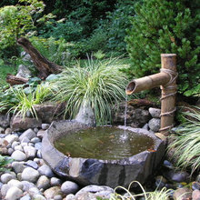 cabin landscape