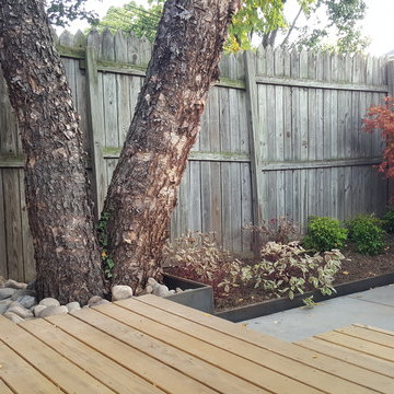 Northern Liberties Backyard