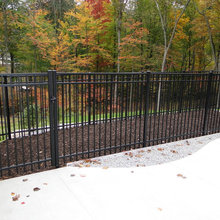 Dog Run