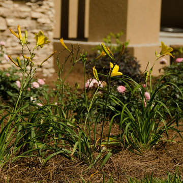 Swalwell Residence