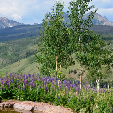 Design - Build Mountain Ranch Landscape in Summit County, CO