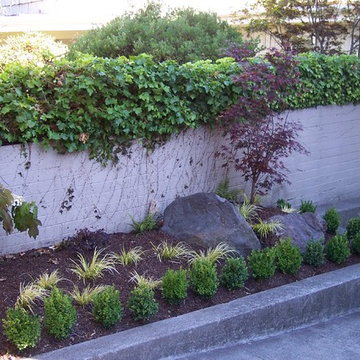 Landscape Design & Installation