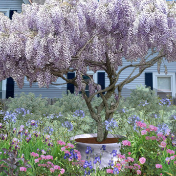 Cottage Gardens