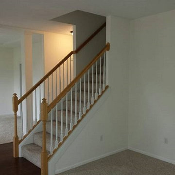 ProTect Painters: Whole Home Color Transformation