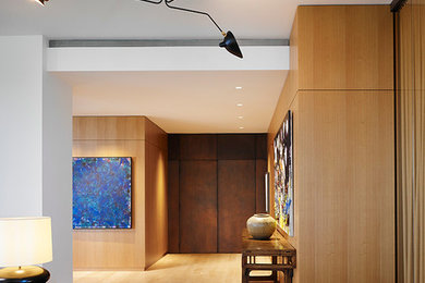 Hallway - modern hallway idea in Chicago