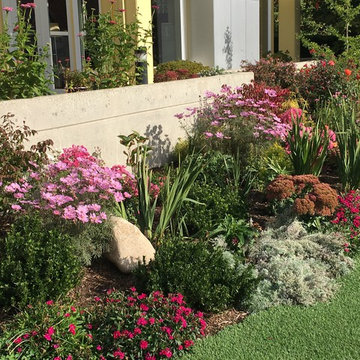 The Mixed Perennial & Shrub Border