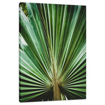 Green Leaf Canvas: Aged and Colorized Wide Palm Leaves 2 Print, 12" X 16"