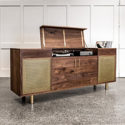 Bespoke Furniture - Record Cabinet - Media Cabinets