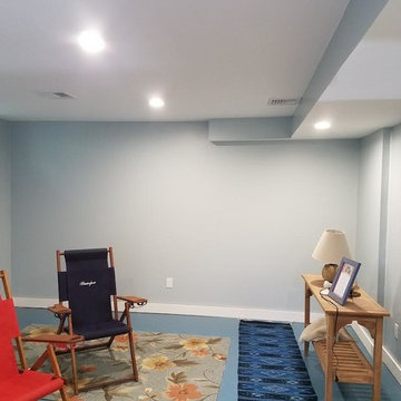 Basement Remodel with Bathroom Addition
