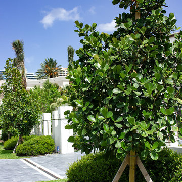 Hedge hug