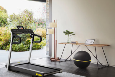 This is an example of a modern home gym in Sydney.