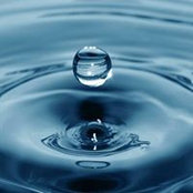 Lorraine Brown's photo