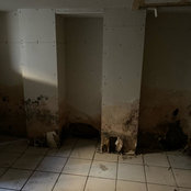 Neil Hooton's photo