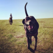 Carly Ducharme's photo