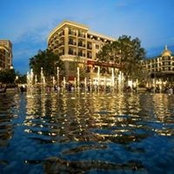 Ron Bernards's photo