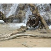 Kevin Lester's photo