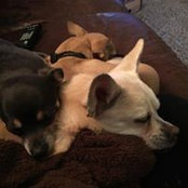 Karol Johnson's photo