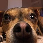 Jennifer Glazer's photo