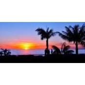 Anny Annable's photo