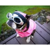 Foto von Kathy Peters