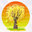 Creative Touch Landscape Services LLC
