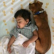 Deeksha Talwar's photo