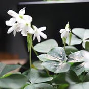 Colleen O'Brien's photo