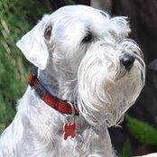 Debbie Sokol's photo