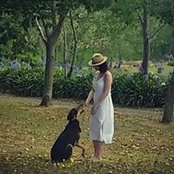 Lou Donaldson's photo