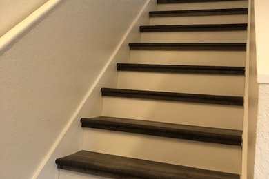 Inspiration for a mid-sized modern straight wood railing staircase remodel in Tampa with wooden risers