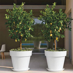 Mitu Ringed Cone Planter - Products